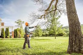 Best Tree Mulching  in North Valley Stream, NY