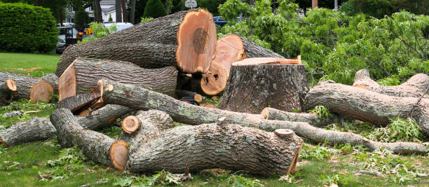 Lawn Renovation and Restoration in North Valley Stream, NY